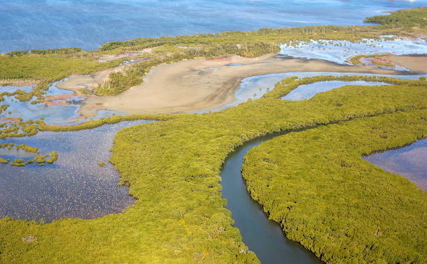 Swamp Area Aeriel view river system stock pictures, royalty-free photos & images