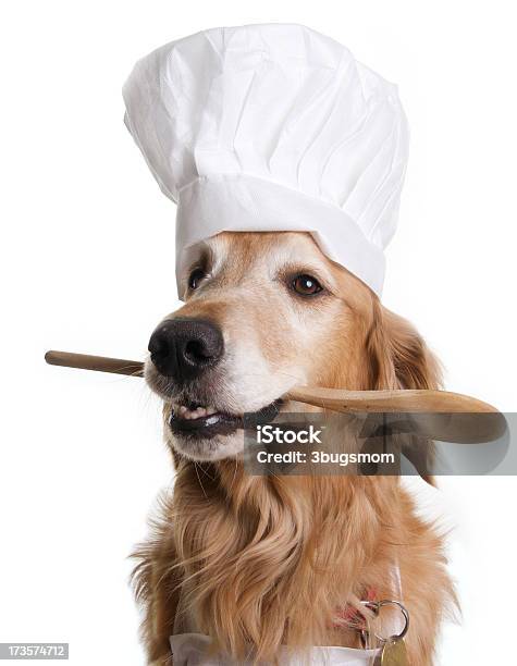 Golden Retriever Chef Stock Photo - Download Image Now - Chef's Hat, Dog, Cooking