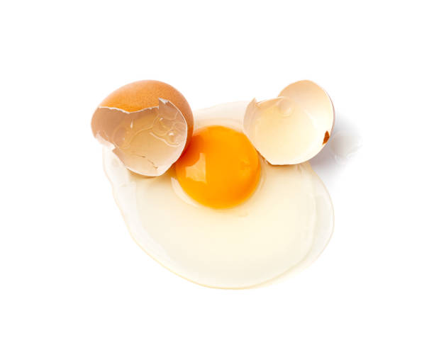 istock Broken Egg Isolated, Raw Yolk and White, Cracked Brown Shell, Fresh Broken Chicken Eggs on White Background 1735750442