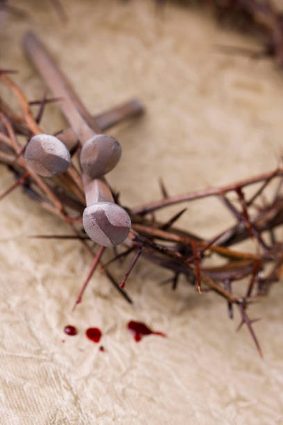 istock Crown of Thorns 173575824