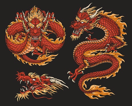 Asian dragon colorful set logotypes with Chinese monster from legends to create coat arms in style ancient dynasty vector illustration