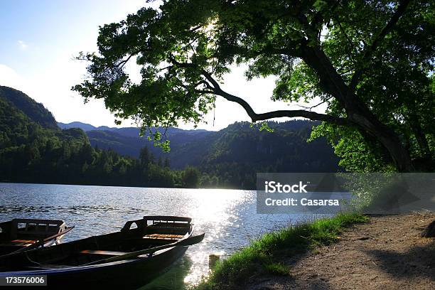 River Boot Stockfoto und mehr Bilder von Anhöhe - Anhöhe, Anker werfen, Ast - Pflanzenbestandteil