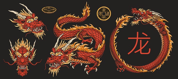 Red dragon colorful set emblems with Chinese mascot in different positions near hieroglyphics and ancient coins vector illustration