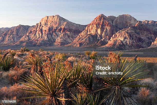 Manhã De Red Rocks - Fotografias de stock e mais imagens de Ao Ar Livre - Ao Ar Livre, Arenito, Beleza natural