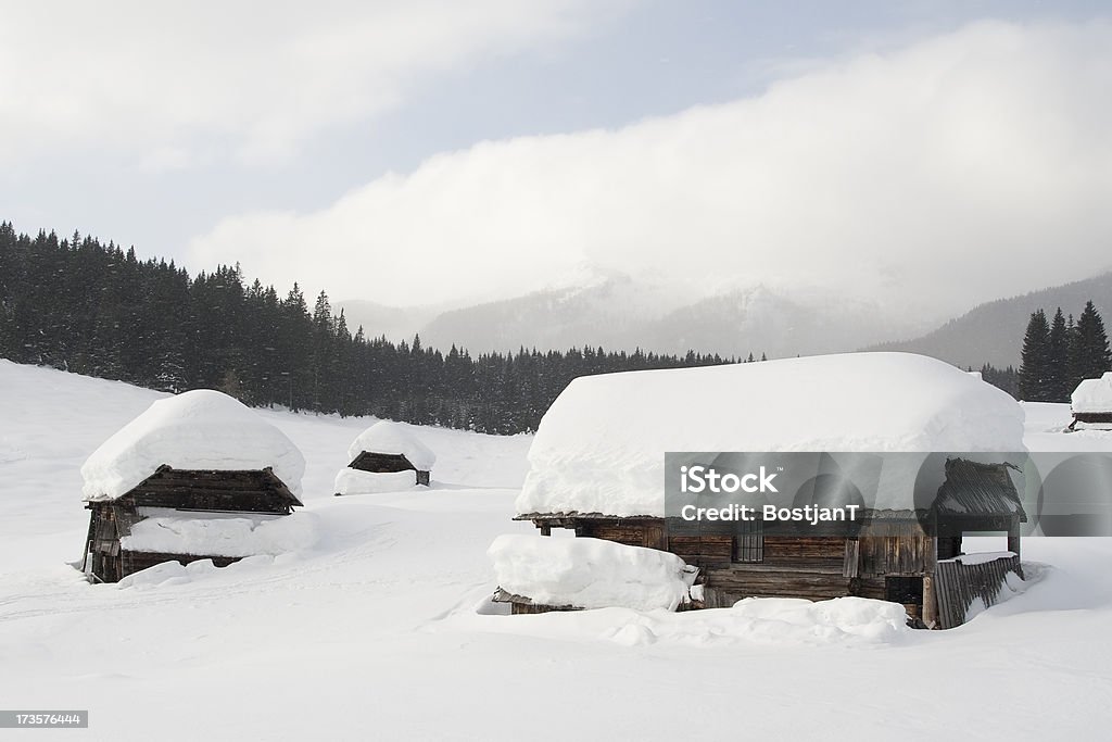 Prawdziwe zimowy - Zbiór zdjęć royalty-free (Alpy)
