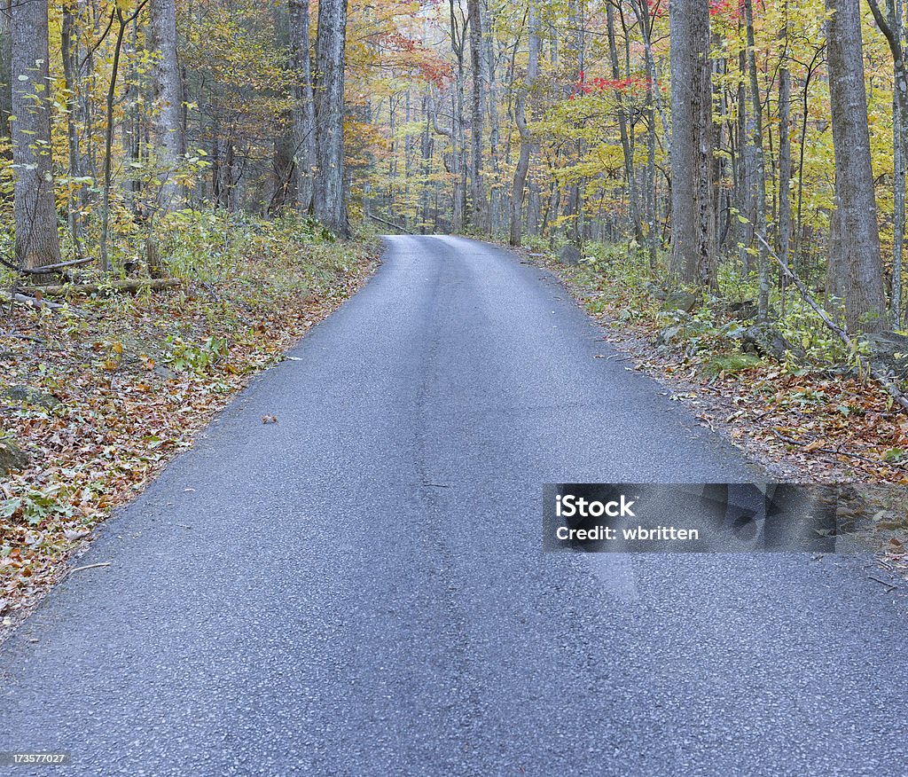 Center of the Road (XXL) Fall foliage along a country lane in the Smoky Mountains. Asphalt Stock Photo