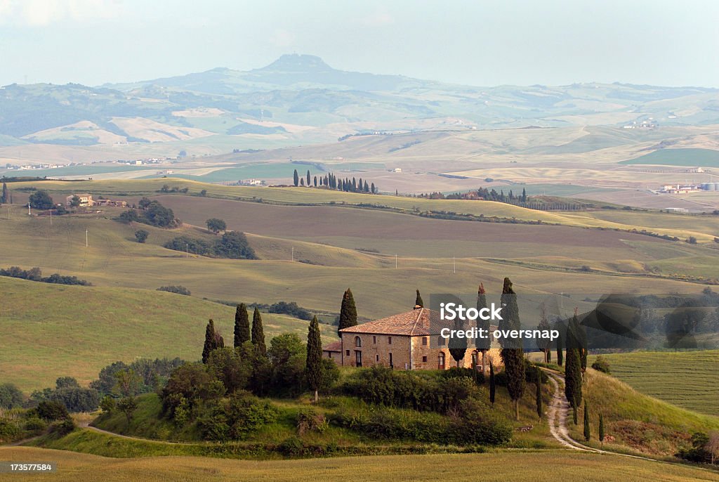 Clássica da Toscana - Foto de stock de Agricultura royalty-free