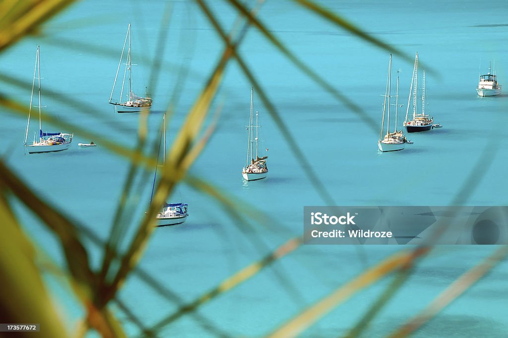 Vivid turquoise sea Palm fronds frame sailboats floating in a vivid turquoise sea. Bahamas Stock Photo