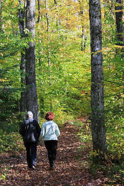 istock Senior Couple Holding Hands Walking in Automn Forest 173577788