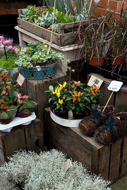 istock Outside a florist's shop 173577899
