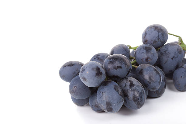 istock Closeup of fresh black grapes 173578021