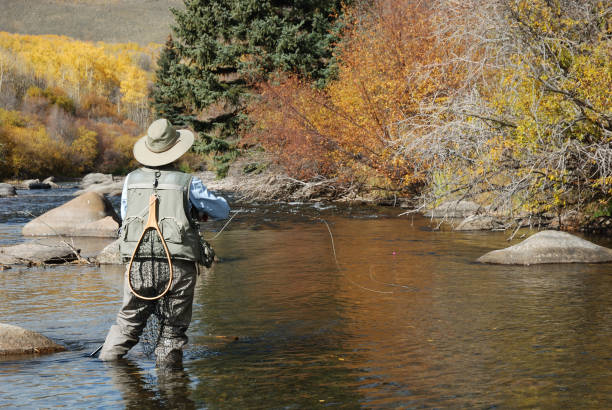 istock Woman Fly-Fishing 173578096