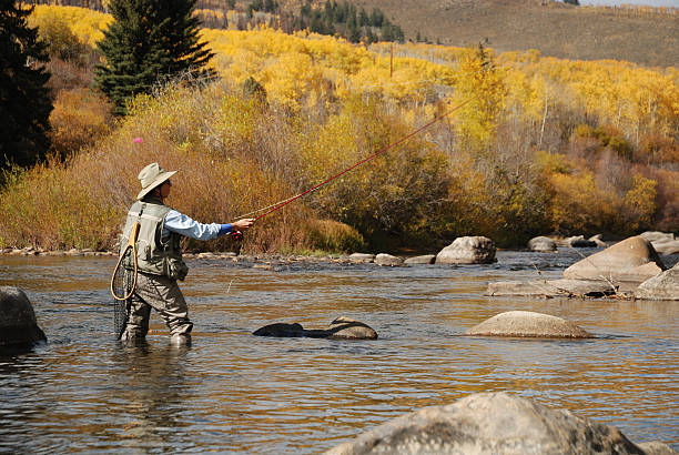 istock Woman Fly-Fishing 173578402