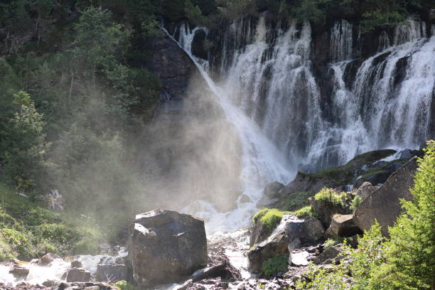 wodospad
wodospady,
woda
górski potok - jungfrau waterfall tree nature zdjęcia i obrazy z banku zdjęć