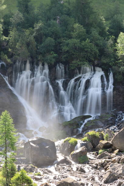 wodospad
wodospady,
woda
górski potok - jungfrau waterfall tree nature zdjęcia i obrazy z banku zdjęć