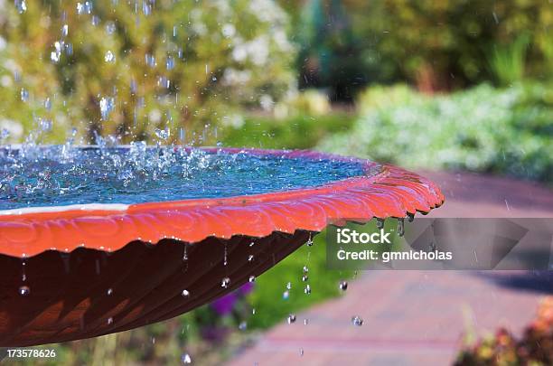 Uccello Da Bagno - Fotografie stock e altre immagini di Acqua - Acqua, Agricoltura, Aiuola