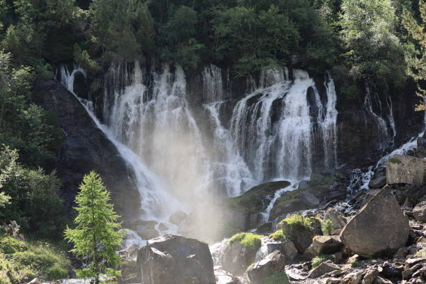 wodospad
wodospady,
woda
górski potok - jungfrau waterfall tree nature zdjęcia i obrazy z banku zdjęć