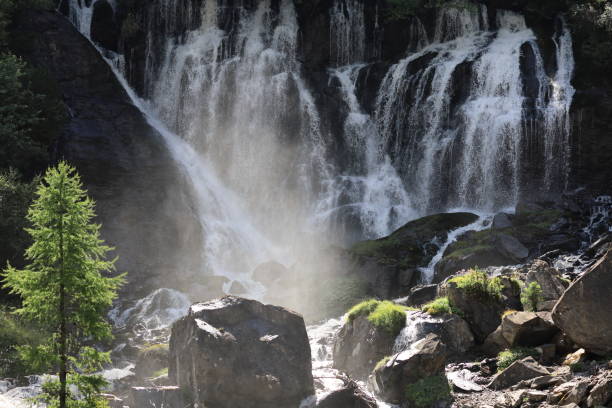 wodospad
wodospady,
woda
górski potok - jungfrau waterfall tree nature zdjęcia i obrazy z banku zdjęć