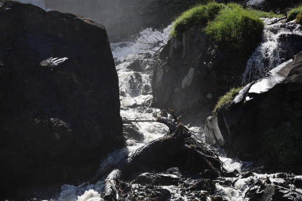 wodospad
wodospady,
woda
górski potok - jungfrau waterfall tree nature zdjęcia i obrazy z banku zdjęć