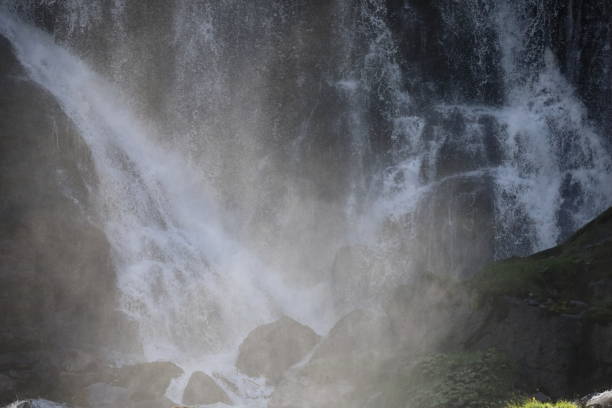 wodospad
wodospady,
woda
górski potok - jungfrau waterfall tree nature zdjęcia i obrazy z banku zdjęć