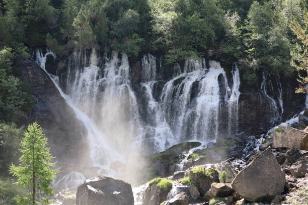 wodospad
wodospady,
woda
górski potok - jungfrau waterfall tree nature zdjęcia i obrazy z banku zdjęć