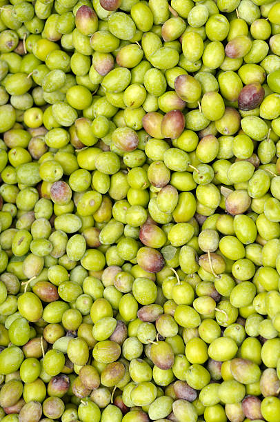 istock Unripe Green Olives 173579153