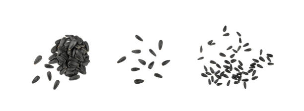 Sunflower Seeds Group, Black Seeds Isolated Top View