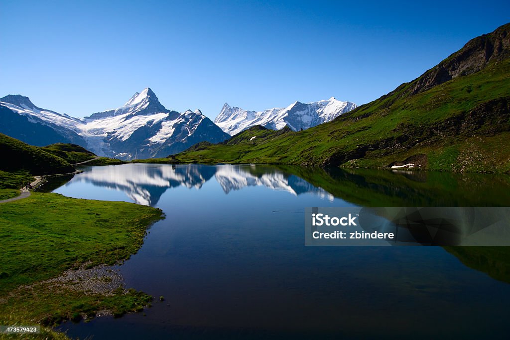 Bernese Oberland - Foto de stock de Alpes europeus royalty-free