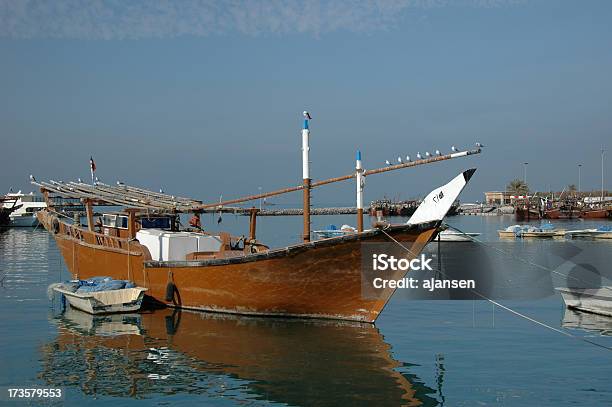 Veleiro Árabe Com Gaivota Em Porto Kuwait - Fotografias de stock e mais imagens de Cidade do Kuwait - Cidade do Kuwait, Kuwait, Animal