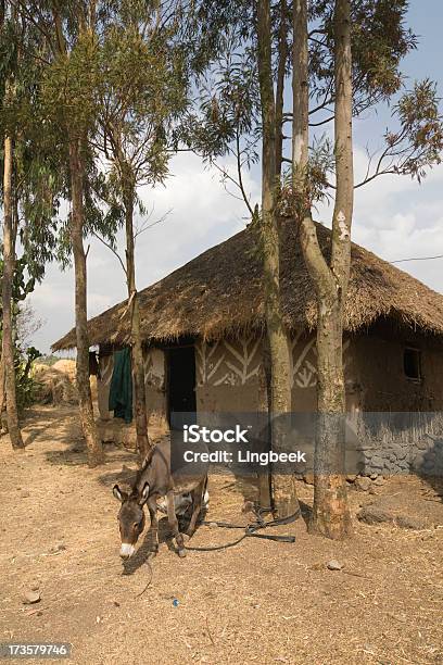 Donkey And Hut Stock Photo - Download Image Now - Africa, African Culture, Animal
