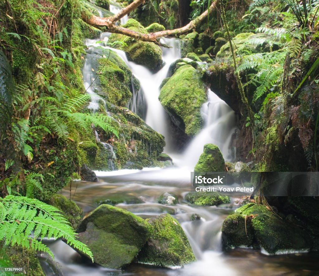 Wasserfall in Neuseeland - Lizenzfrei Neuseeland Stock-Foto
