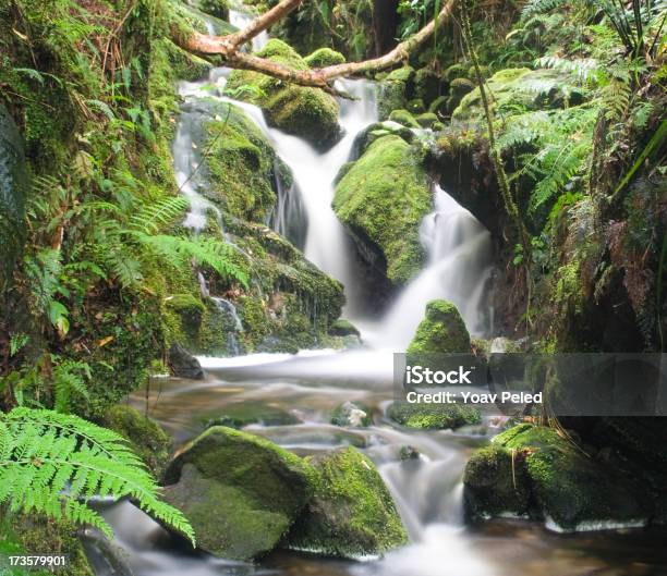 Wasserfall In Neuseeland Stockfoto und mehr Bilder von Neuseeland - Neuseeland, Bach, Fallen