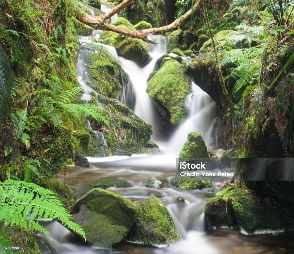 Cascata in Nuova Zelanda - Foto stock royalty-free di Nuova Zelanda