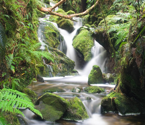 istock Waterfall in New Zealand 173579901