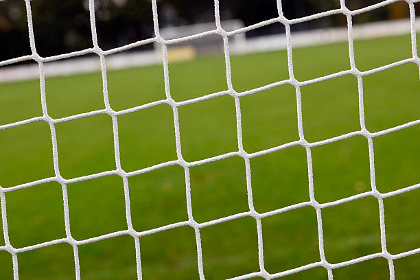 istock Empty soccer field seen through net of the goal 173580368