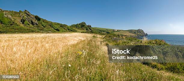 Prawle Ponto - Fotografias de stock e mais imagens de Agricultura - Agricultura, Ao Ar Livre, Campo agrícola