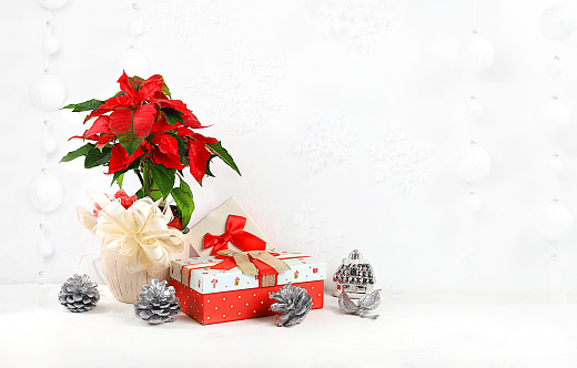 Empty rustic table with poinsettia, gifts and decorations, Christmas Eve concept, banner for display, holiday background. Christmas and New Year mockup for design and product display, selective focus