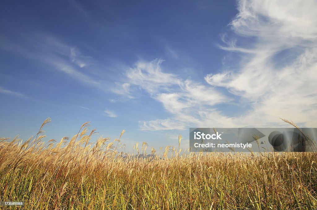 Sky - Foto stock royalty-free di Ambientazione esterna