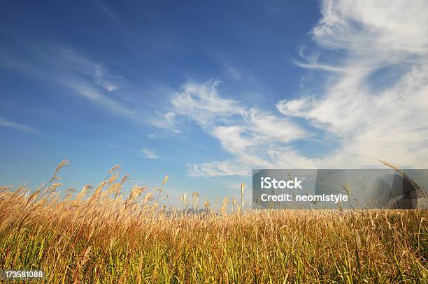Sky - Fotografie stock e altre immagini di Ambientazione esterna - Ambientazione esterna, Ambientazione tranquilla, Ambiente