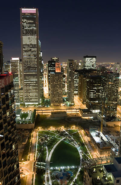istock Chicago Park and High-Rises at Night 173581122
