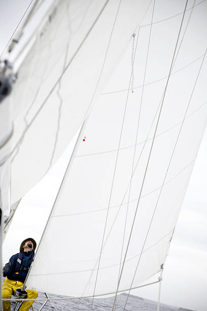 istock Sailor Looks up at the Head Sail 173582026