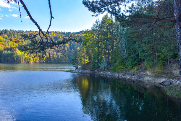 istock Autumn landscape with a lake in the forest, tree 1735824167