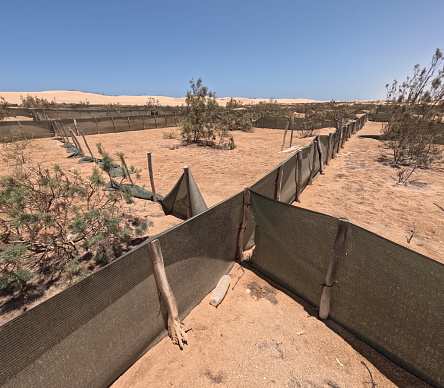 Sand dunes invading the land. Desertification due to climate change and over-exploration. Environmental problem scene.