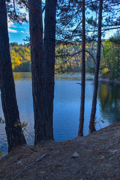 istock Autumn landscape with a lake in the forest, tree 1735832160