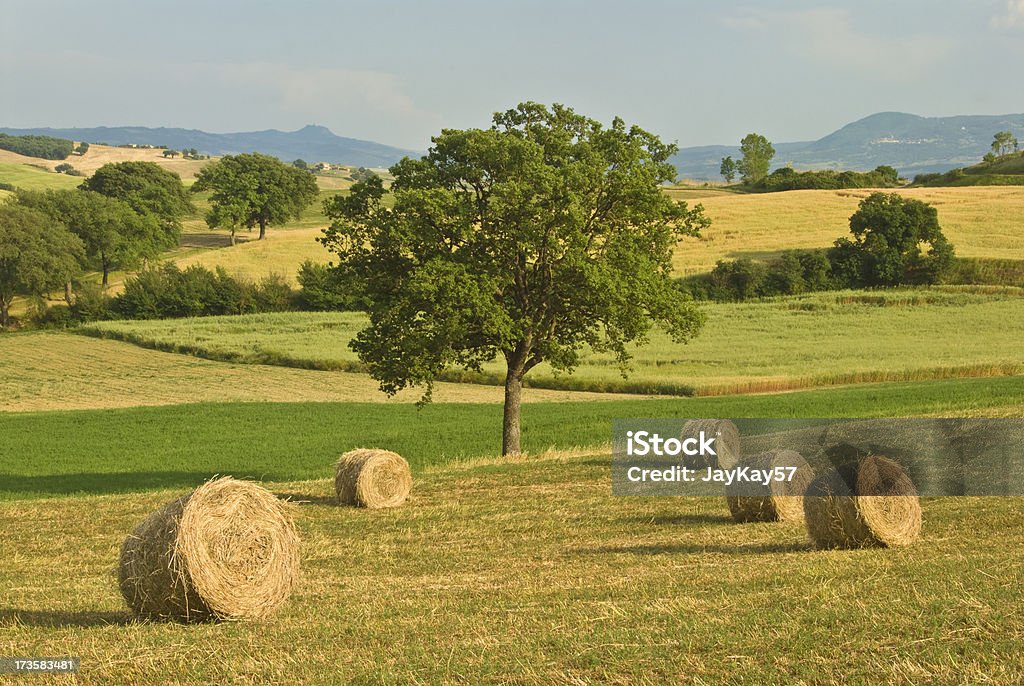 トスカーナの農家 - イタリアのロイヤリティフリーストックフォト