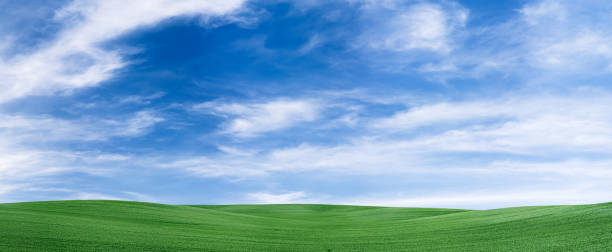 istock Panoramic spring landscape 115MPix XXXXL meadow, blue sky, clouds 173583573