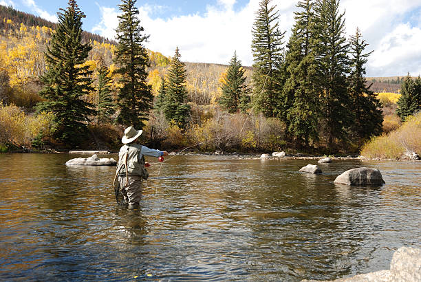 istock Woman Fly-Fishing 173583664