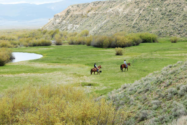 Cowboy and cowgirl ride horses by the river looking for stray cattle.