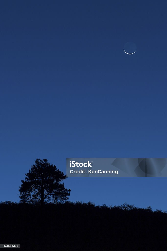 Baum und Mond Crescent in der Dämmerung - Lizenzfrei Abenddämmerung Stock-Foto