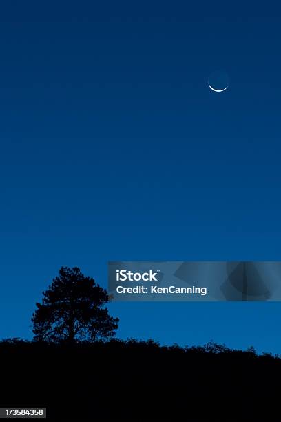 Baum Und Mond Crescent In Der Dämmerung Stockfoto und mehr Bilder von Abenddämmerung - Abenddämmerung, Abgeschiedenheit, Baum